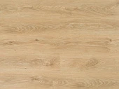viv1233 1804