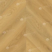  LF109-05 Дуб Олимп