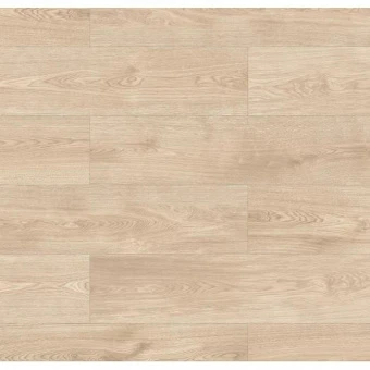 56693 Дуб Ларедо / Laredo Oak