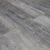 161112 Дуб Боттичелли
