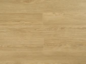 viv10 1825