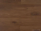 1219 Дуб Мореный