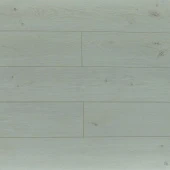 Дуб Барлоу 02