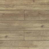Дуб Кромер 08