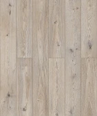 D50937 Дуб Митфорд