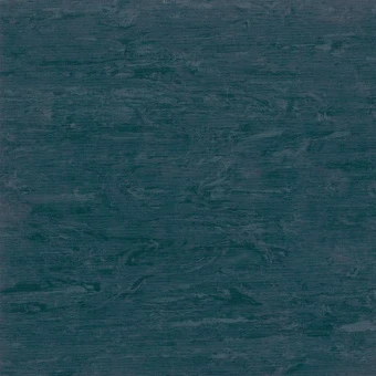 HORIZON 003
