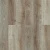 Дуб Стоктон