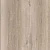 SF02 Дуб Миланский