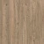 D50137 AF Дуб Мендель
