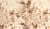 Parantez 4071 Brown