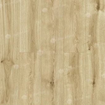 Дуб Петербург LF103-04