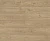 D50567 Дуб Лейнстоун