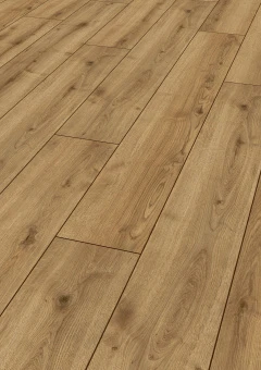 D40782 Дуб Джалон