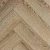 2301 Дуб Элегантный