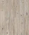 D50937 Дуб Митфорд