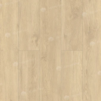 ECO 11-5 КАМФОРА
