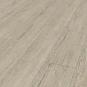 5529 Дуб Орегон