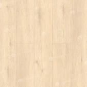 ГРАНД СЕКВОЙЯ АДЕНДРОН ECO 11-23