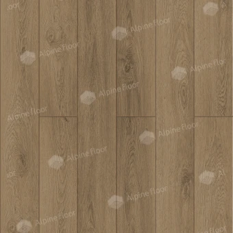 ECO 11-1907 Вайпуа