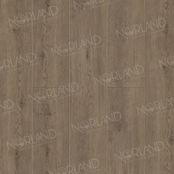 1008-8