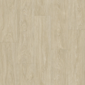 CLUB MAXIMUS 1; MAXIMUS 2