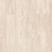 ID69 Олива Галатея