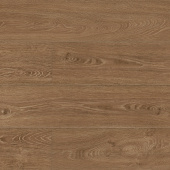 6487 Дуб Брайс