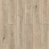 59747 Дуб Мумбаи