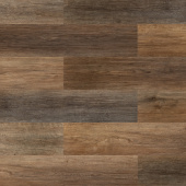 2207 Дуб островной