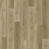 8674 Дуб Селестра