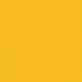 OMNISPORTS ACTION 40 YELLOW