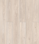 50857 Дуб Шеппард