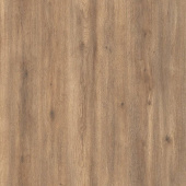 FP582 Дуб Престон