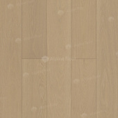 EW201-06 Дуб Шампань