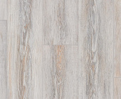 FP558 Сосна Монтана