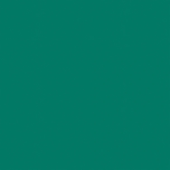 OMNISPORTS ACTION 65 FOREST GREEN