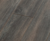  SF61 Дуб Бремен