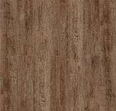 SE709 Дуб Зайда