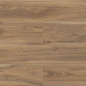 50827 Дуб Маноло