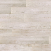 4376 Сосна Гризли