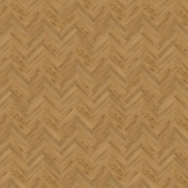 SGHBC20333 Дуб осенний медовый