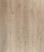 D50497 Дуб Турнон