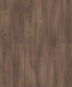 D50897 Дуб Ромберг