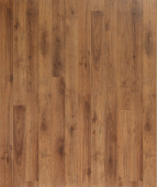 1805  Дуб Дворцовый