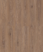 50757 Дуб Герберт