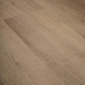 4206 Дуб Имперский