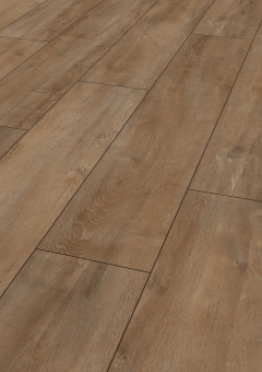 4983 ДУБ ВОСТОЧНЫЙ НАТУРАЛЬНЫЙ