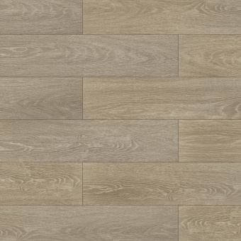 3303 Дуб мильфей