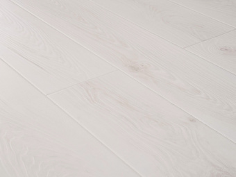 1205 Дуб Регги