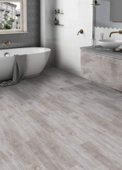 Дуб Огайо 2003